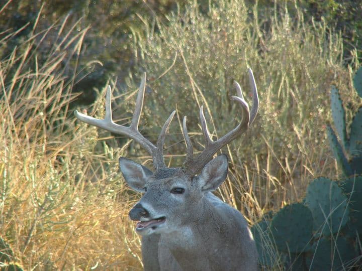 El Estribo hunting and fishing ranch in Texas and Mexico