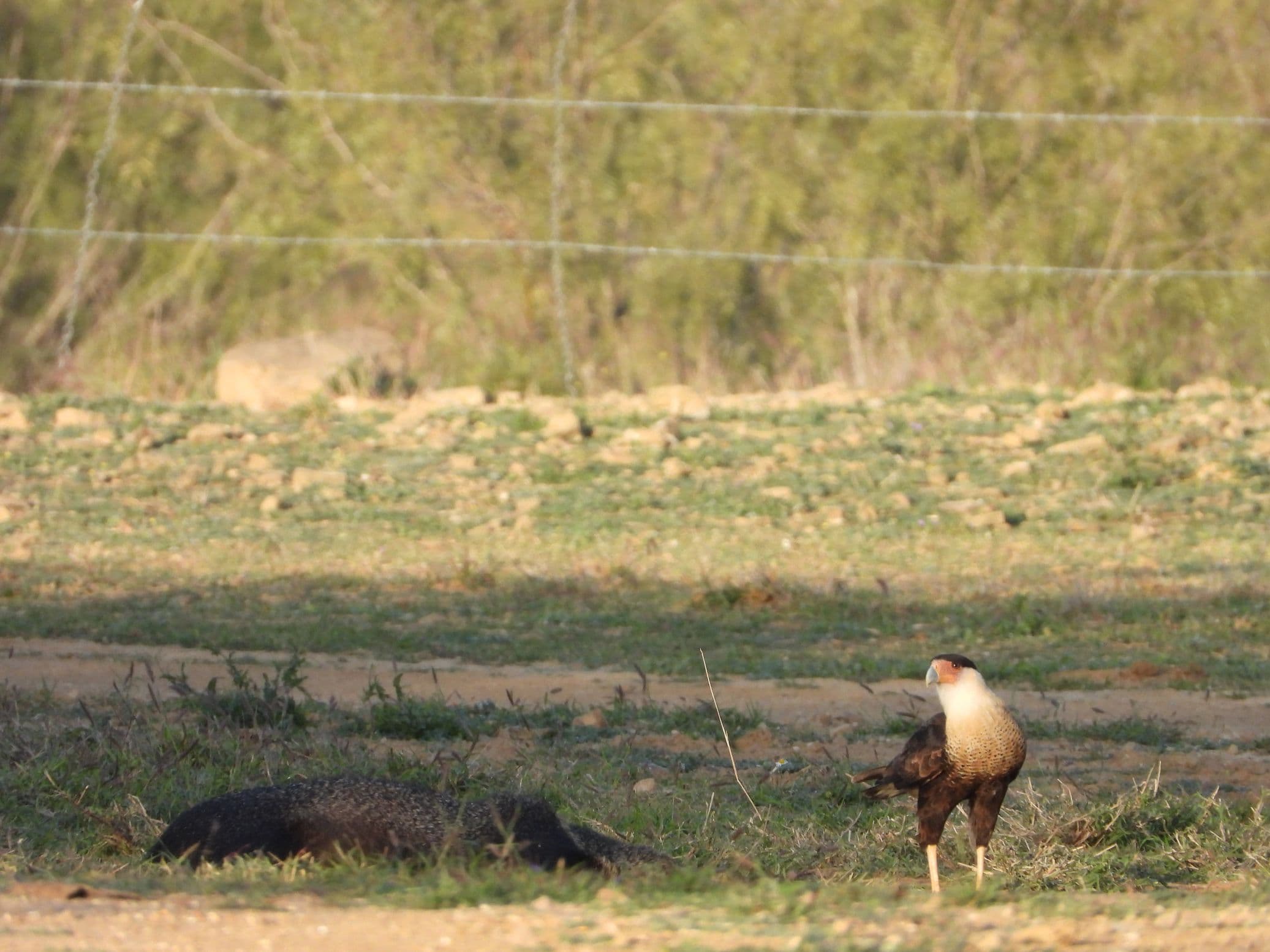 El Estribo hunting and fishing ranch in Texas and Mexico