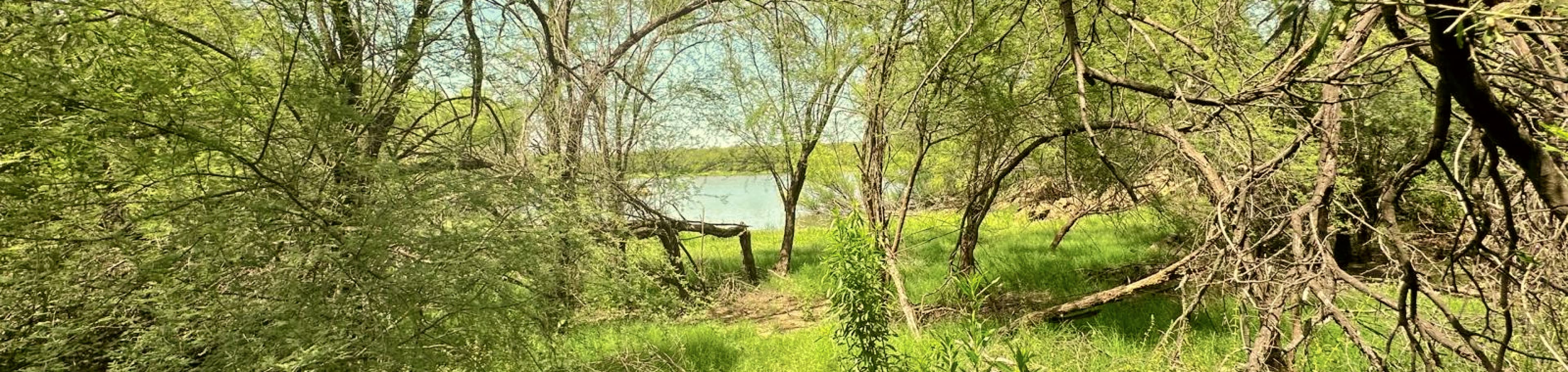 El Estribo, a ranch specializing in whitetail deer hunting. Experience a unique adventure with expert guides, exclusive species, and a natural environment designed for passionate hunters.