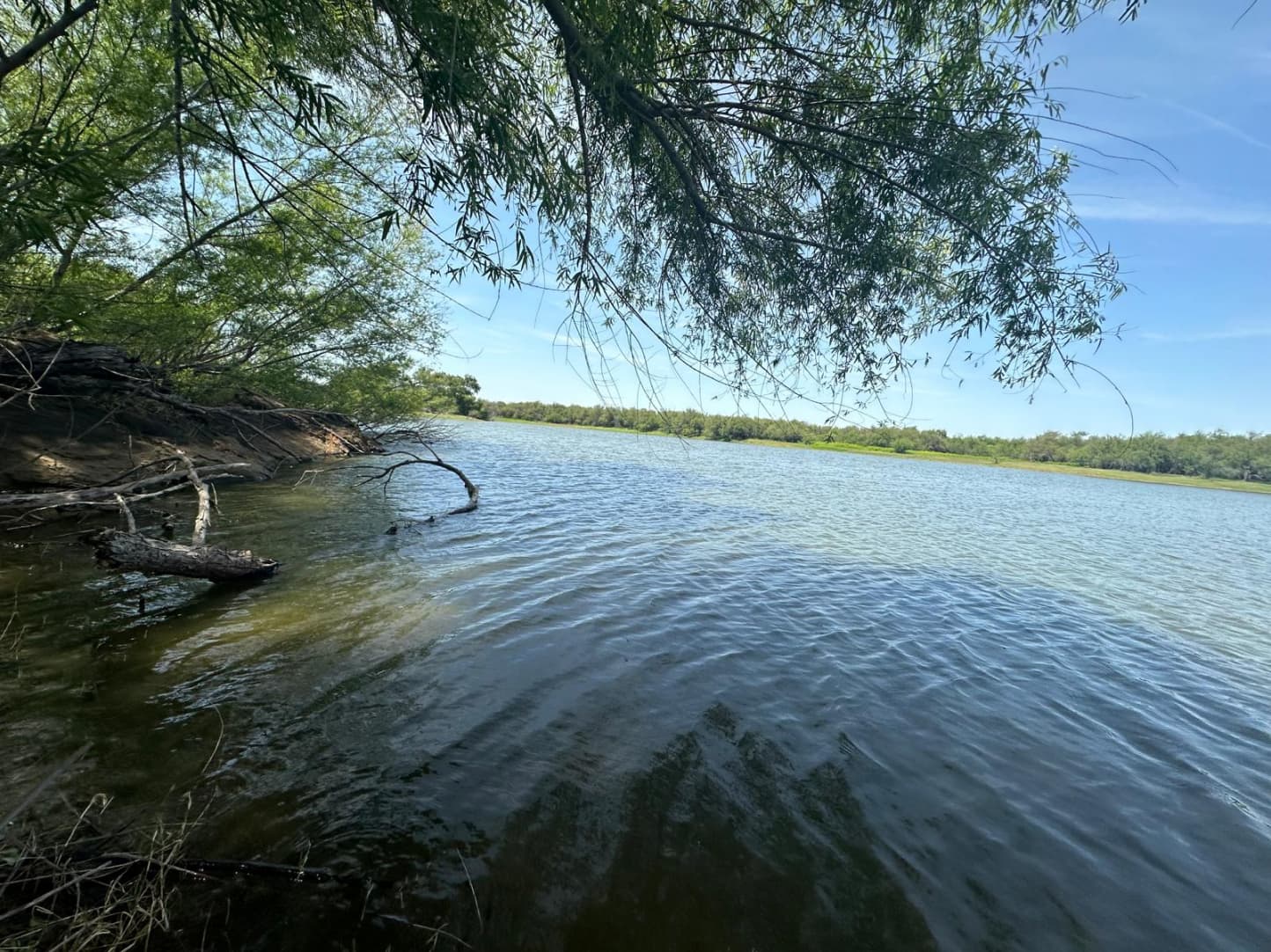 Close-up view of a tranquil lake surrounded by vegetation, with fallen branches at the shore, capturing the natural serenity of El Estribo.