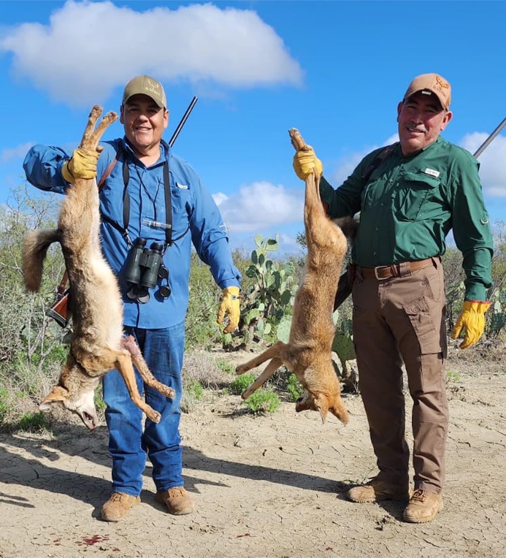 Hunter holding a bobcat in one hand and a rifle in the other, posing under clear blue skies, showcasing guided hunting expertise at El Estribo.